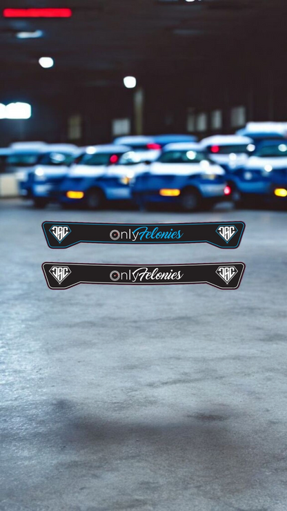 DSC - Visor Sticker